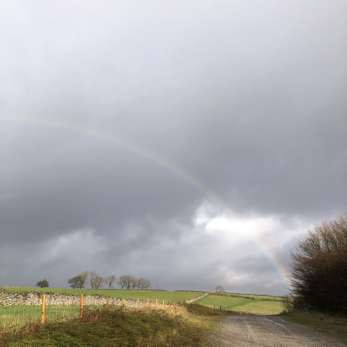 Today’s tour with <a href="/DerbyshireBT/">Derbyshire Bird Tours</a> was to Middleton Moor Lagoons. There wasn’t much to see on the water but the woodland edge was full of fieldfare, redwing, various tits and finches. So much activity and lots of rain too 🌧️ #derbyshirebirdtours #middletonmoorlagoons
