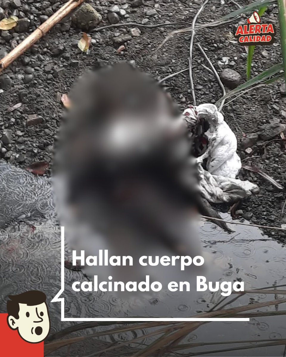 AlertaCalidad's tweet image. En la tarde de este sábado, habitantes del barrio La Ventura alertaron a la Policía sobre la presencia de un cuerpo incinerado a la orilla de la acequia que limita con la cancha del sector.

Las autoridades avanzan en las investigaciones.

#AlertaCalidad #Buga