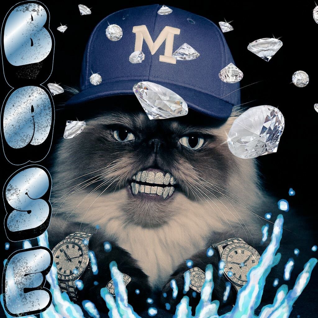 MrMigglesOnBase's tweet image. We are Base Post Maxxing and you should be too 😼💎✨