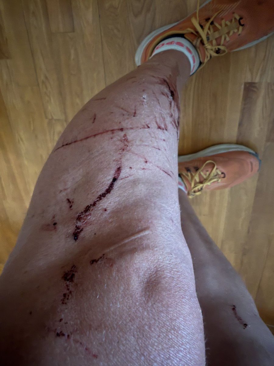 Digamos que hoy he tenido una linda historia de amor con una aliaga y ha sido de lo más efusiva. Mañana os cuento más!!