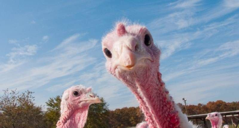 SHITSTICK4000 tweet media