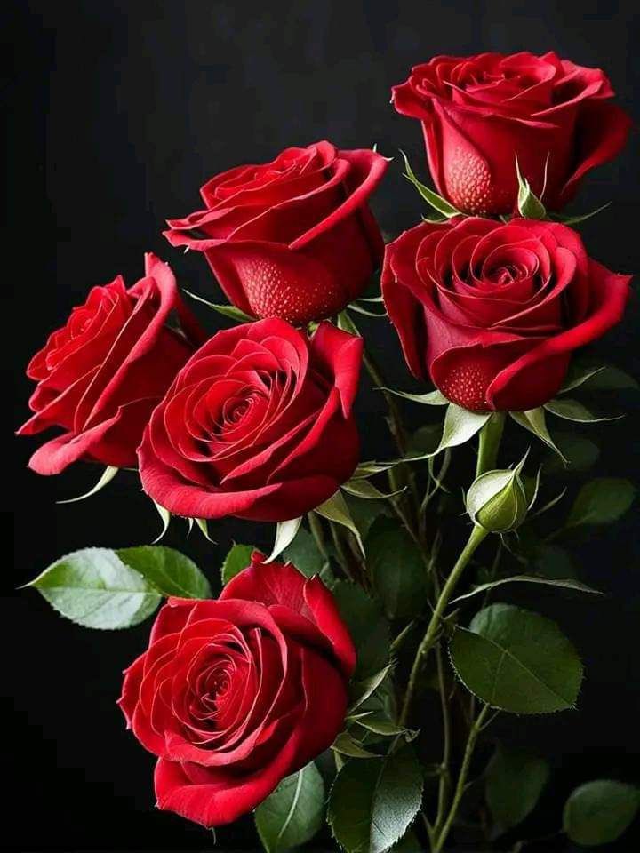 #الاصل_مايتغير 
#راقت_لي 
#مساء_الخير
#رسالة_لقلبك
#بوح_آخر_الليل

فدوة  عيونك  يابعد  كل هالناس
انت الغلا كله وكلي فدوة عيونك