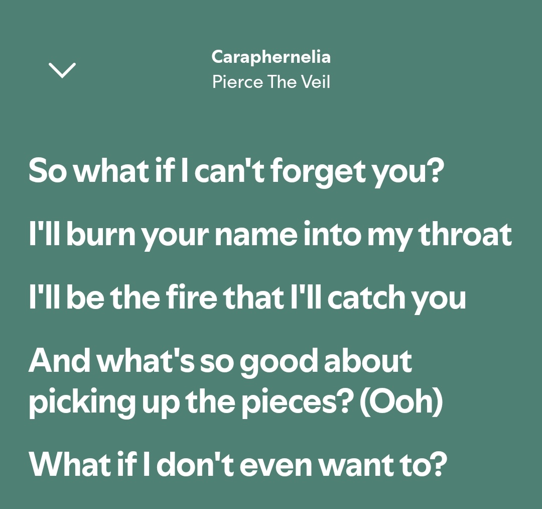 Como eu amo essa msc