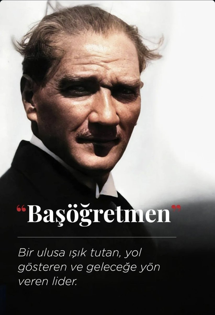 Nilgün Eseroğlu 🐬 (@nilgun_tepealan) on Twitter photo 