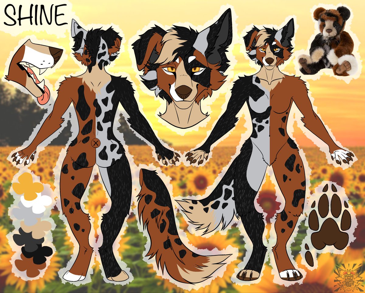 Nyxaronii's tweet image. #refsheet #shinerefsheet