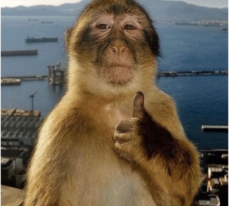 15_mi11ion's tweet image. If you want to understand what open execution really looks like, this is it.
Avo just raised the standard.👌🏿