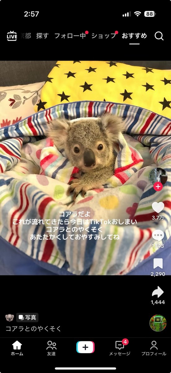 Post by すさのお on X: わかりました！