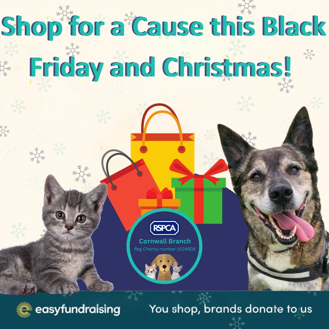 RSPCA Cornwall tweet media