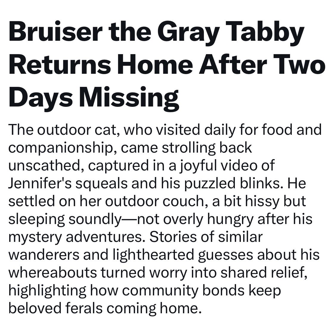 Bruiser made the papers!!!!   Well, the X headlines anyway!  He must have been exhausted bc the slept for 9 hours!!!   Woke up, had a nosh, then back into the wild blue yonder he went.  

I wonder where he was for those two fretful days! He came home looking chunkier than before!