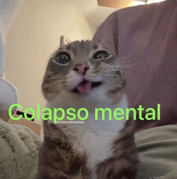 M O T I V A N D O T E (@m0tivand0te) on Twitter photo 