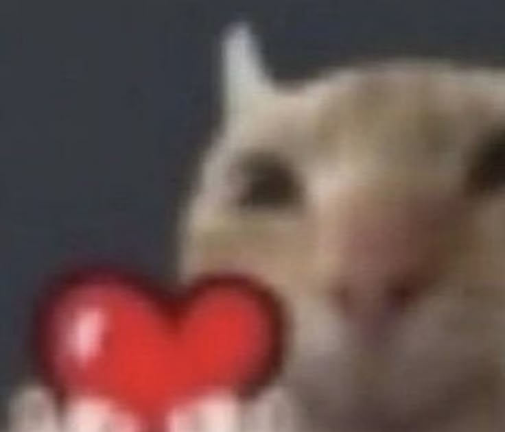 rvptvrs's tweet image. mi gallo