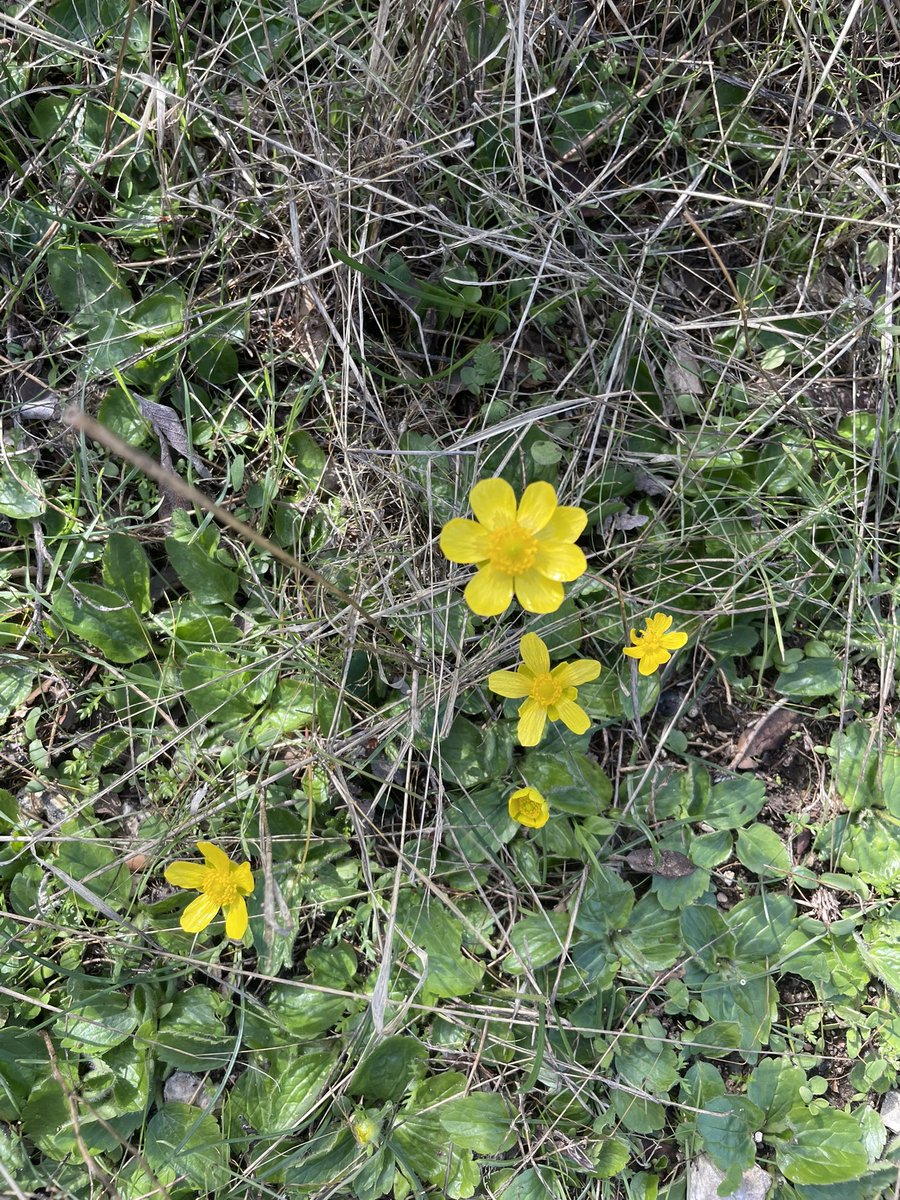 plácida 🧘🏻‍♀️