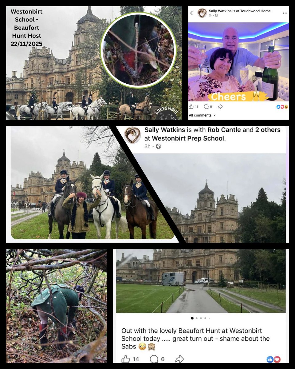 Wiltshire Hunt Saboteurs tweet media