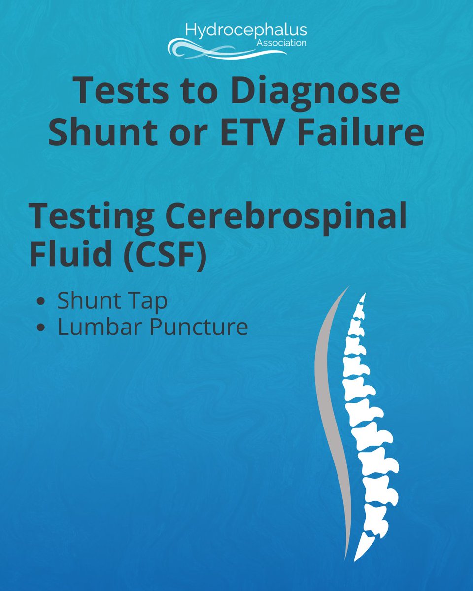 HydroAssoc's tweet photo. Understanding the tests for shunt &amp; ETV failure can make a tough situation feel a little less overwhelming. Get the full breakdown: https://t.co/v5uMCjOnCt https://t.co/9cKsInH0Bh