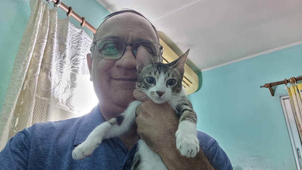 I had such a fantastic reception from my 7 dogs and 5 cats. Goose couldn't believe his eyes when he saw me. Here he is now, and we are reunited.