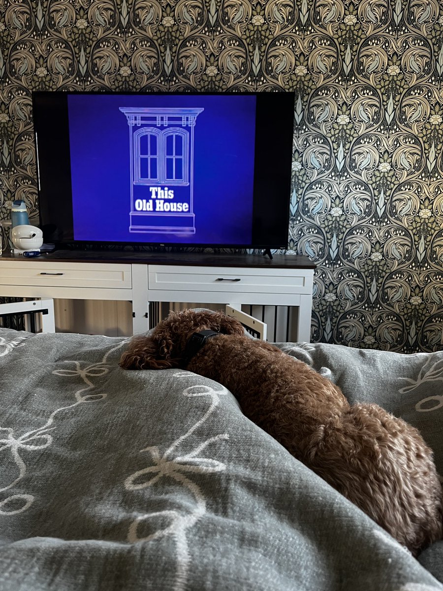 Washed Up Goalie 🥅 tweet media