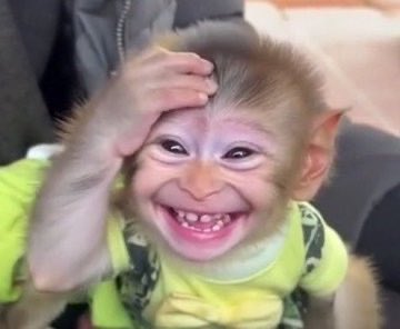 Eng.Mapunda Jr tweet media