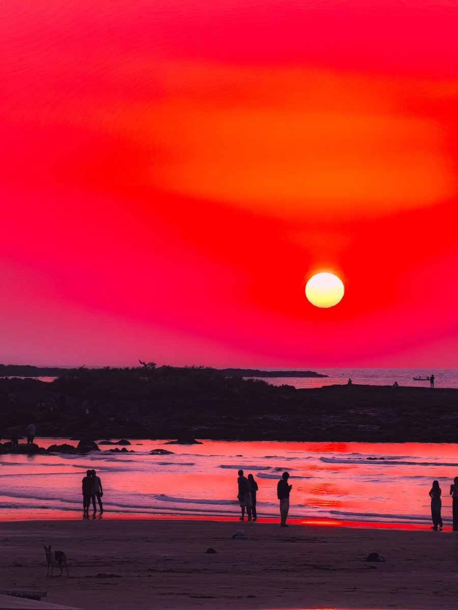 Entroprox's tweet image. Golden Silence 📸