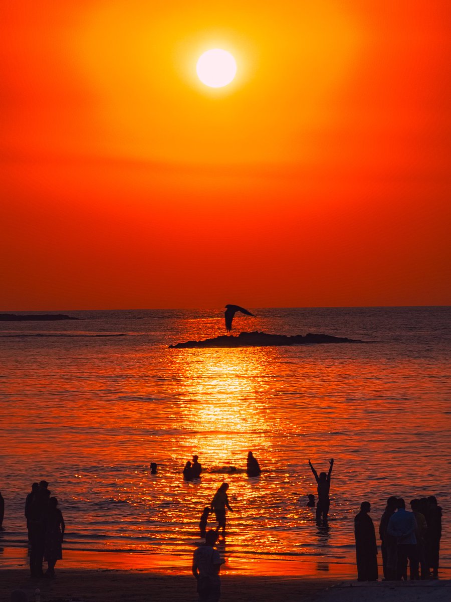 Entroprox's tweet image. Golden Silence 📸