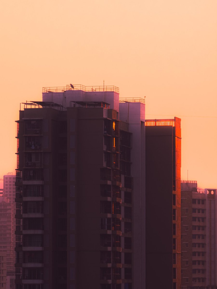 Entroprox's tweet image. Golden Silence 📸