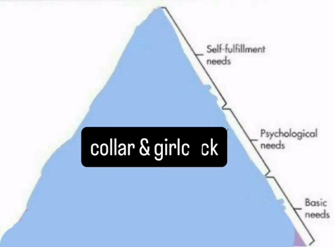 kent_qy's tweet image. 