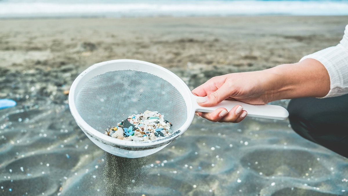 Microplast25262's tweet photo. Los microplásticos primarios nacen diminutos; los secundarios son fragmentos de plásticos grandes que se rompen. Ambos contaminan mares, aire y suelo. Reducir plástico es clave. 🌎♻️ #MedioAmbiente #Microplásticos #Contaminación https://t.co/AW4RUM8HnU