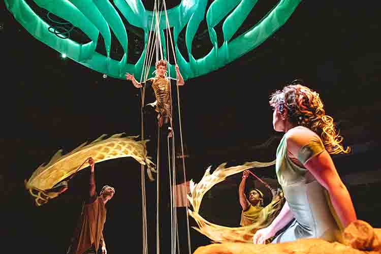 Yeah Lifestyle tweet media