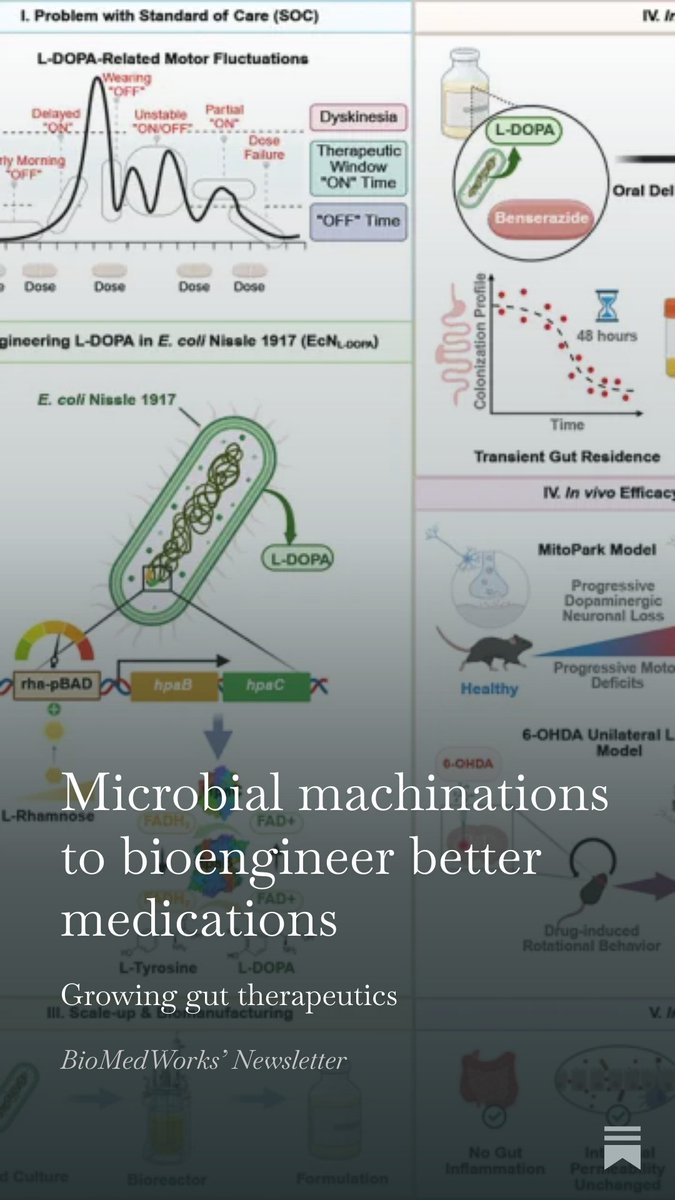 L_Kragie_MD's tweet image. Latest freebie BioMedWorks newsletter:  

Enjoy.  Share. Signup.

#H2S #ecoli #ammonia #lactobacillus #PPARa #LDopa    #onychomycosis

biomedworks.substack.com/p/microbial-ma…
