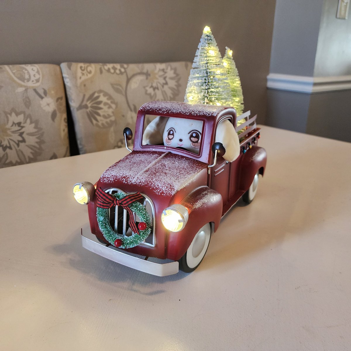 KaleMarner's tweet photo. Hetmongi is ready for Christmas 🎄 https://t.co/yDrrE05yUv