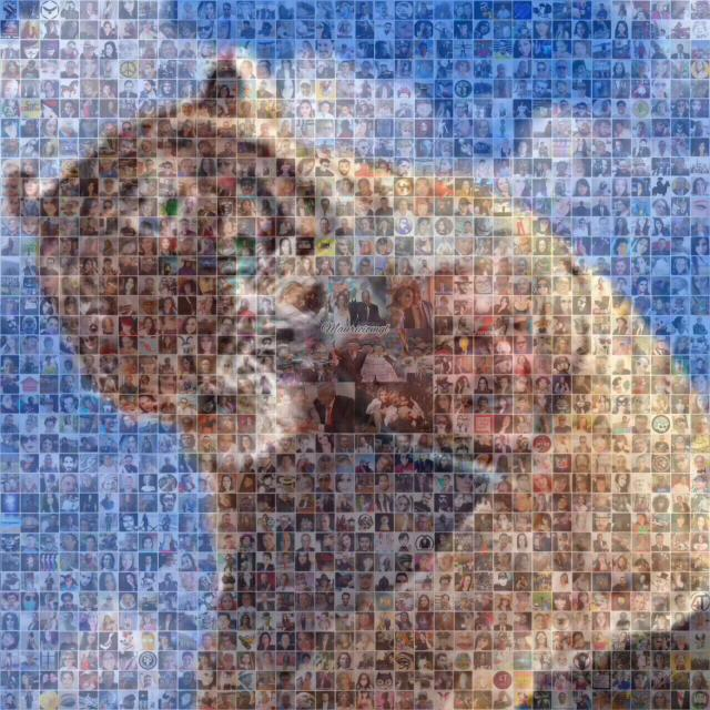 👁️⚠️
Aunque algunos no quieran aceptarlo, el tema que traemos encima nos obliga a definir nuestro propio universo.

En esta pieza tomamos forma.
Nos convertimos en una comunidad con territorio, con límites claros —geográficos, ideológicos y operativos— y aun así actuamos juntos,