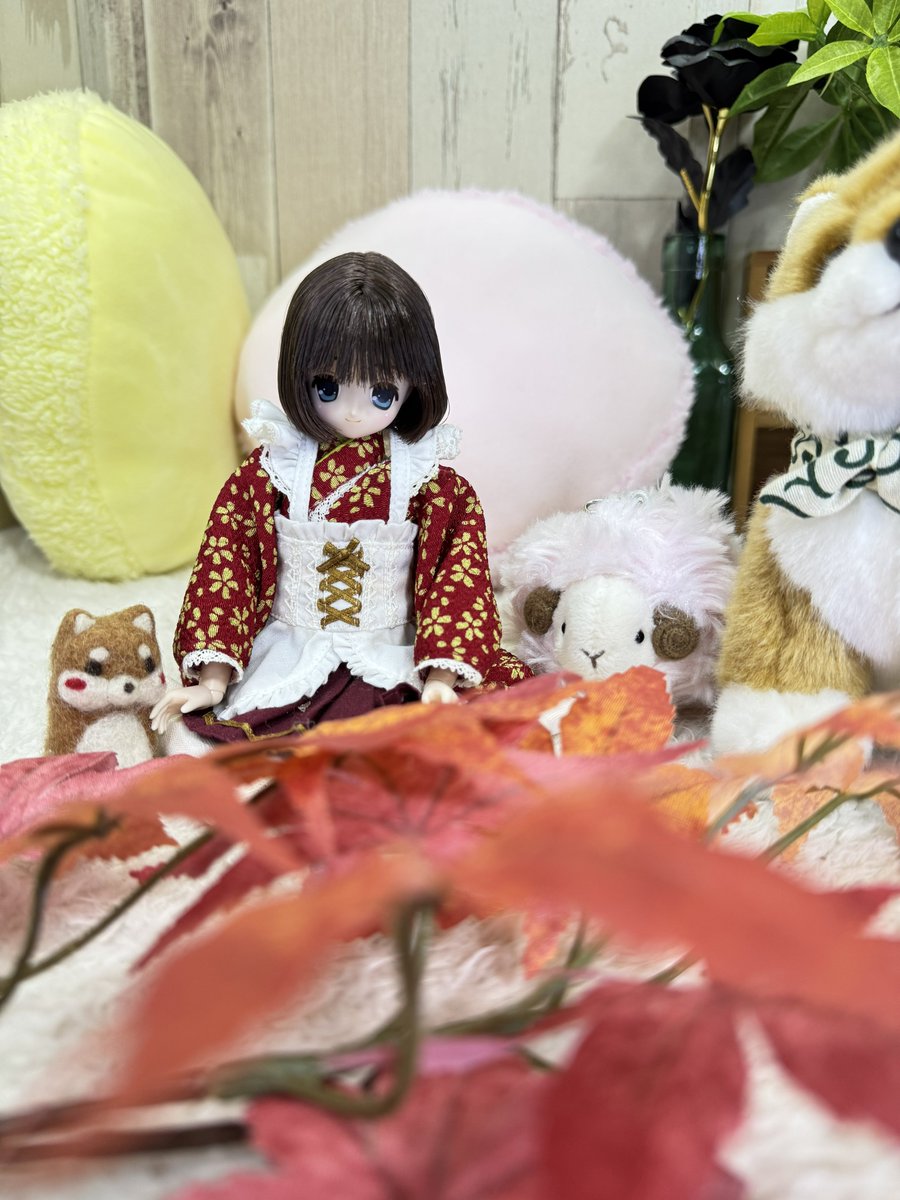 くまきち (@bearbeartyan) / Posts / X