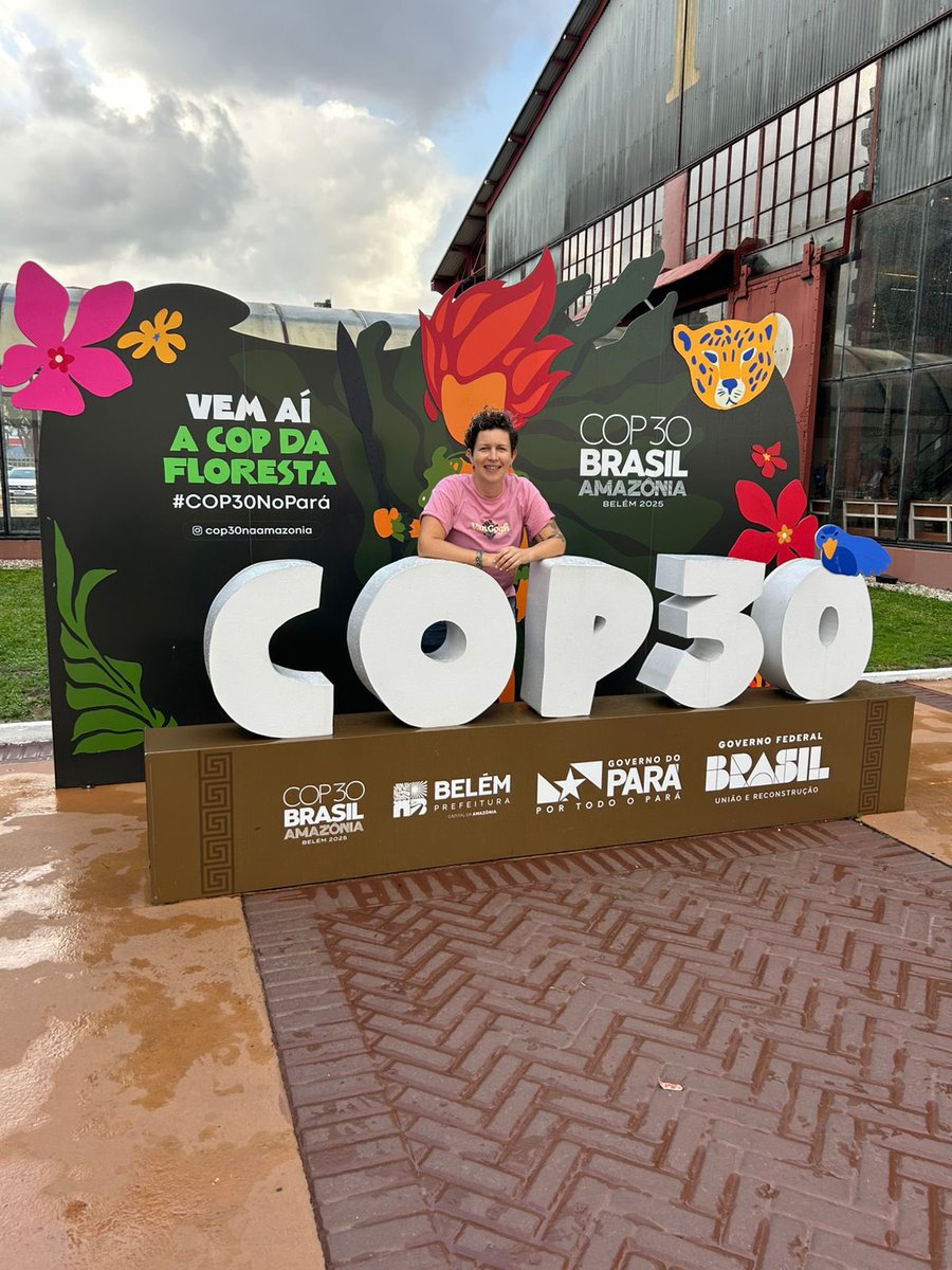 PazGGomez's tweet photo. A Respeitar a floresta https://t.co/MjJoXSxY4Z