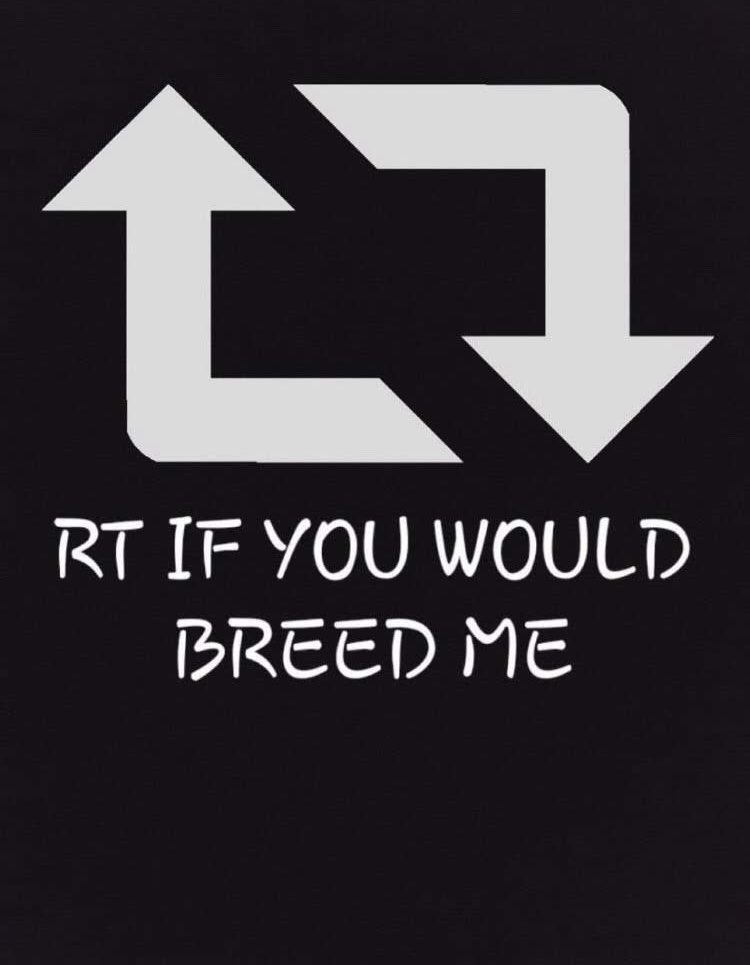 - 𝑀❁𝓂𝓂𝓎 tweet media