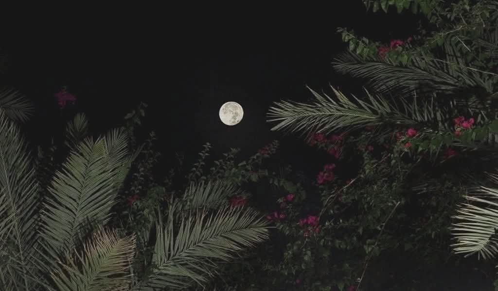 रात सबकी एक ही होती है, बस अंधेरे अपने अपने होते हैं..!!