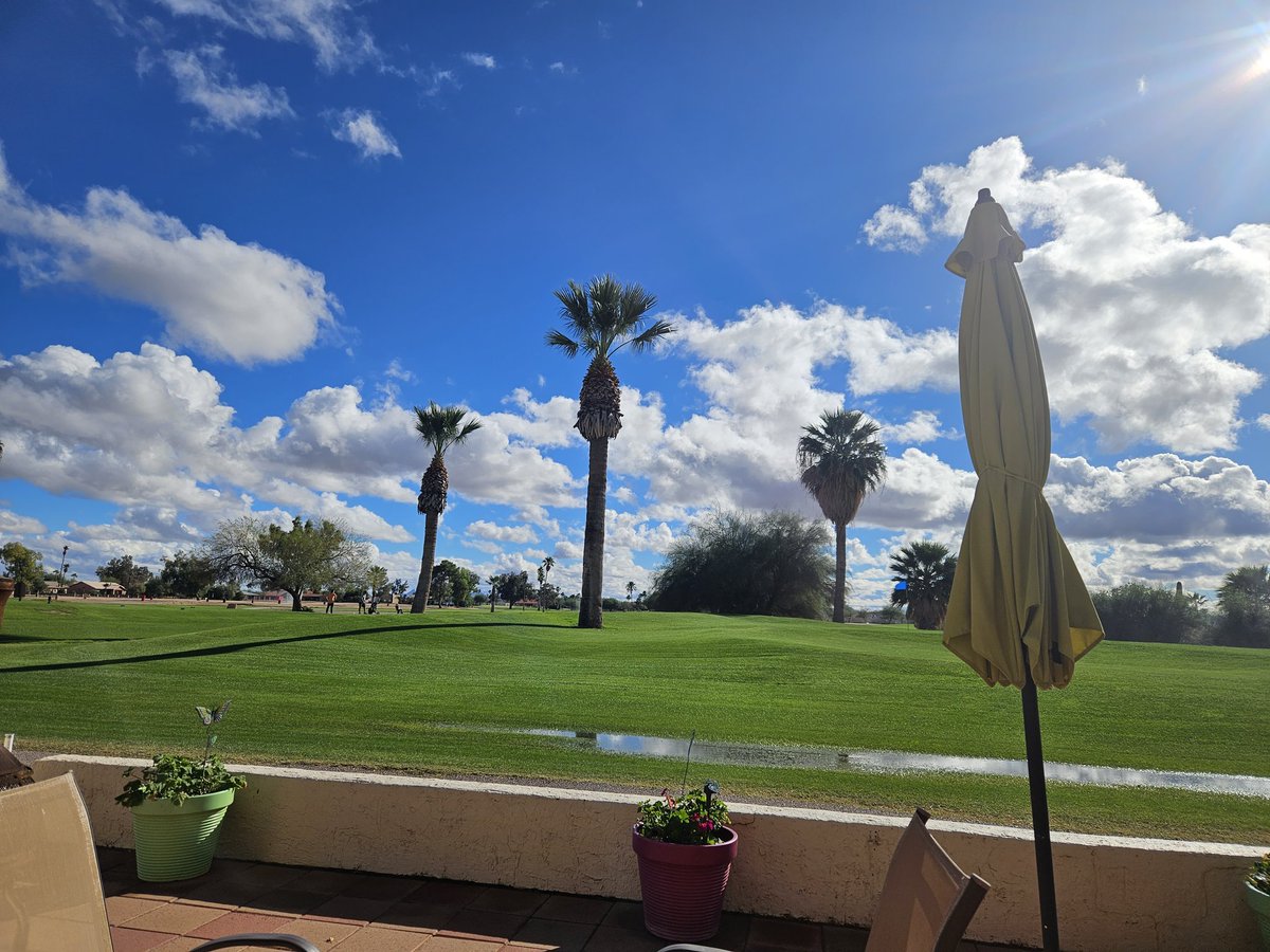 Sunday afternoon on the patio