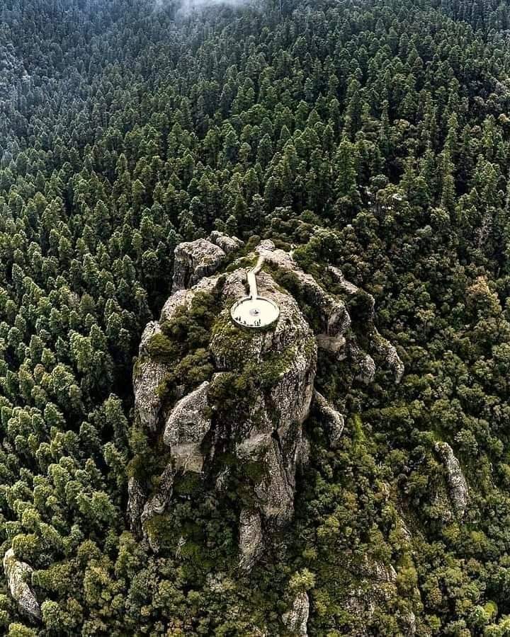 GUSI_ESESOYYO's tweet image. Tengo tanto por conocer de #México que me voy a ir sin conocerlo todo.

Es una lástima. 

Mirador en #Hidalgo

#Mexico_Magico