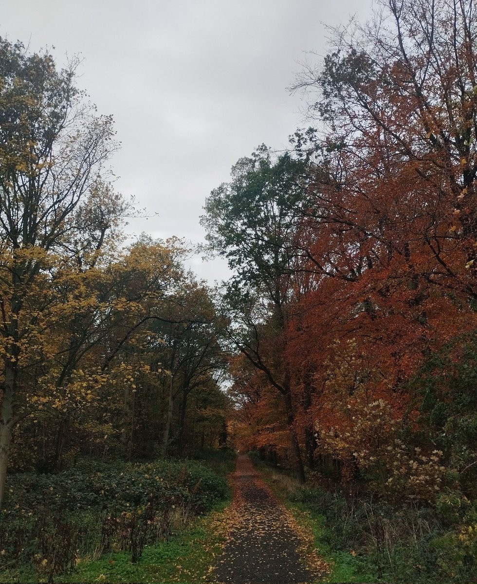 Disappearing is sort of Nice. Emails, long letters, library books make me happy. I print pictures of writers I Admire and pin them above my bed. Of mountains back home too. I drink water until my tummy hurts. If you want to reach me you could try dreams. I will always Answer back