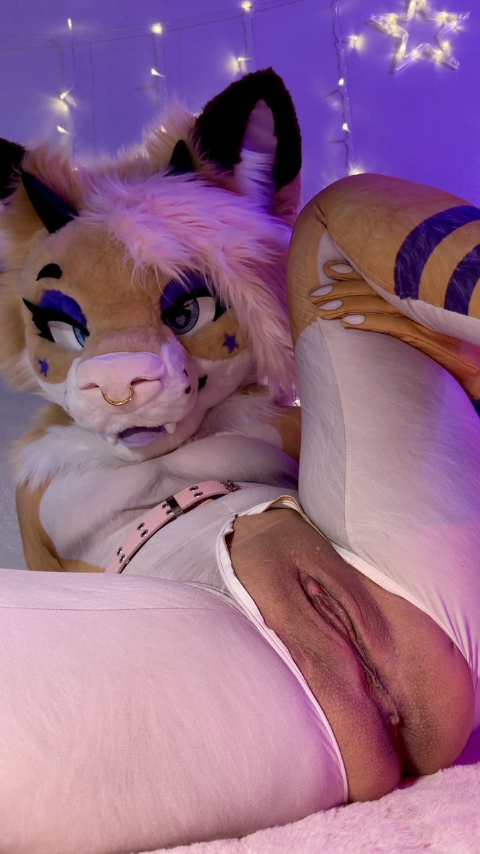 𝔰𝔱𝔞𝔯𝔡𝔲𝔰𝔱 ✨🔞 tweet media