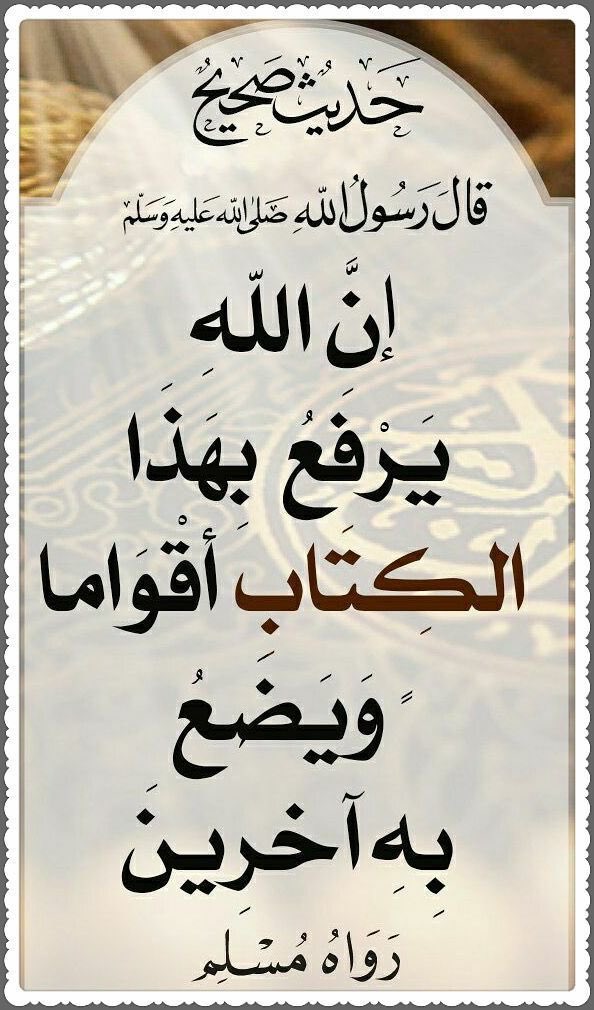 “كلَّما كمُلَ عَقل المَرء، نَحا نحوَ القُرآن“
