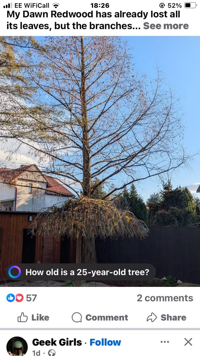 AI, ladies and gentlemen: