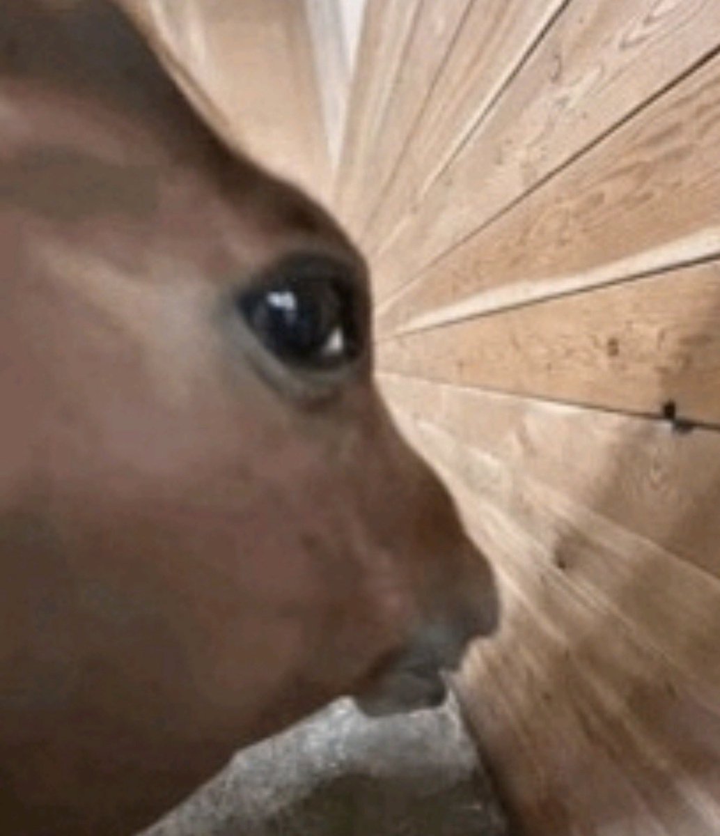 GreGor🔜MagicCon Vegas tweet media