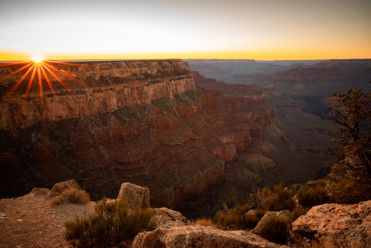 Grand Canyon Conservancy tweet media