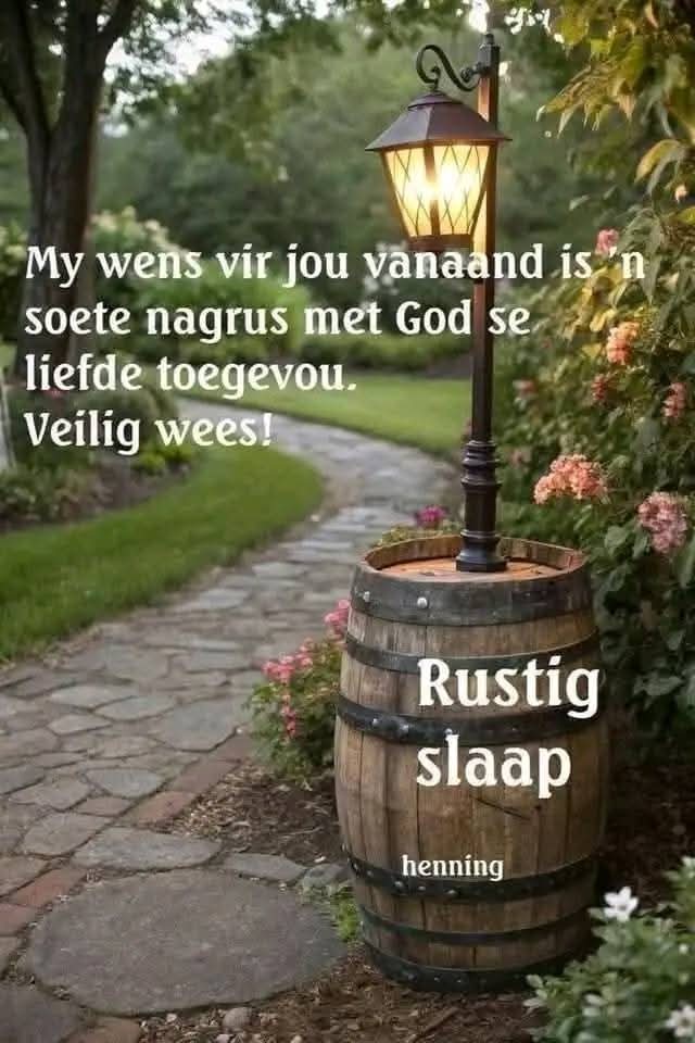 Ellie 🌹🐱🧶 tweet media