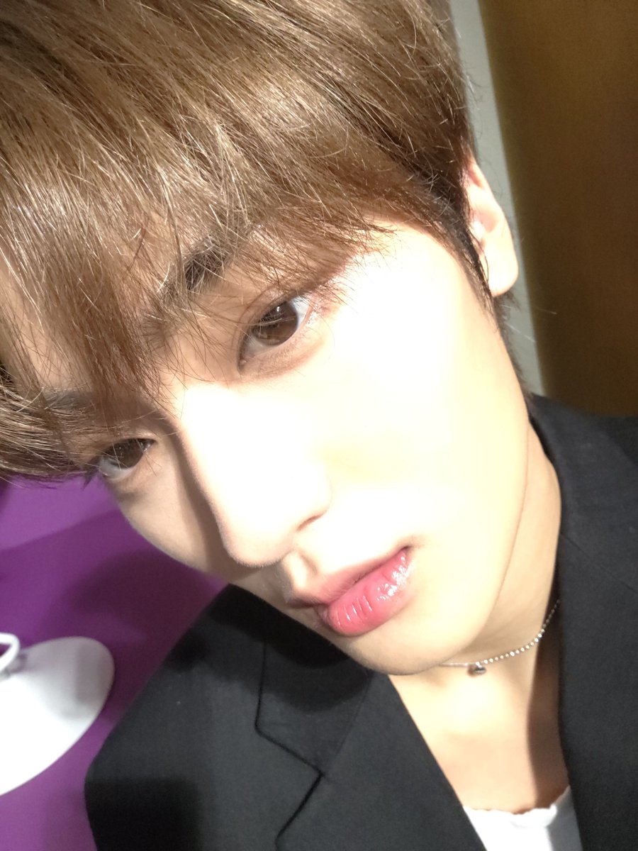 뜬금없는데태영이얼빡사진너무귀여워서울음이막나온다어떻게이렇게귀여운고양이가존재하냐?