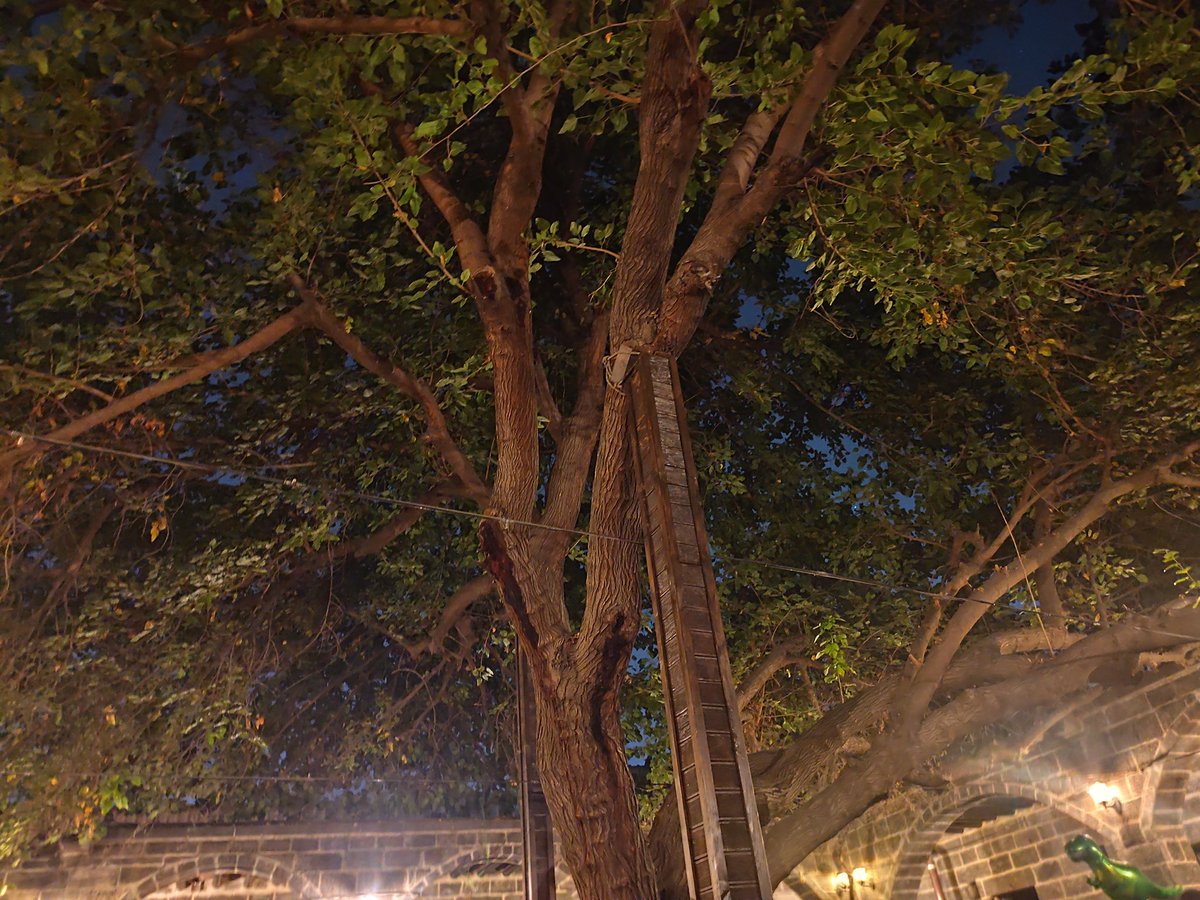 Sülüklü Han güzel yer