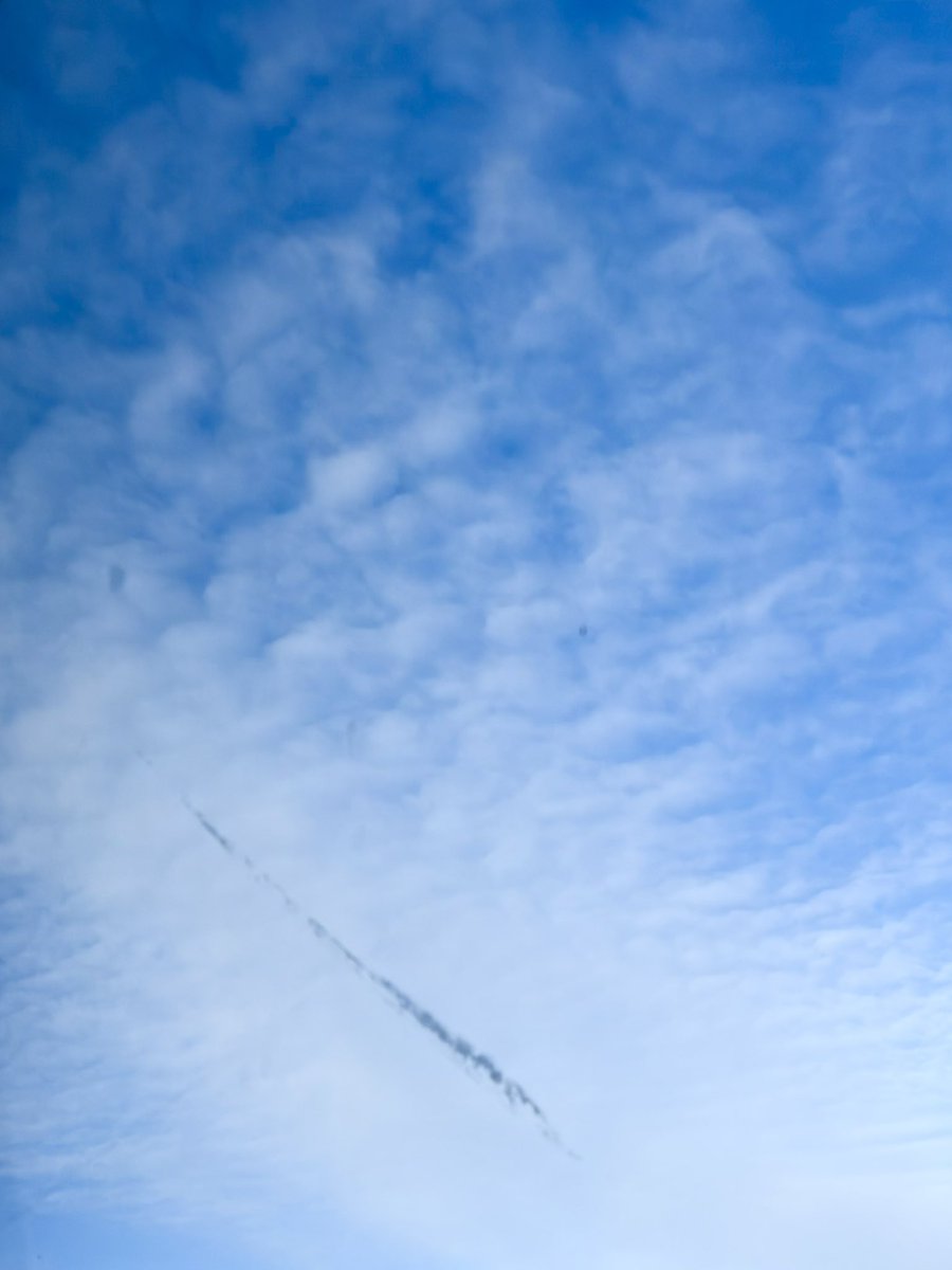 feather
#mobilephotography