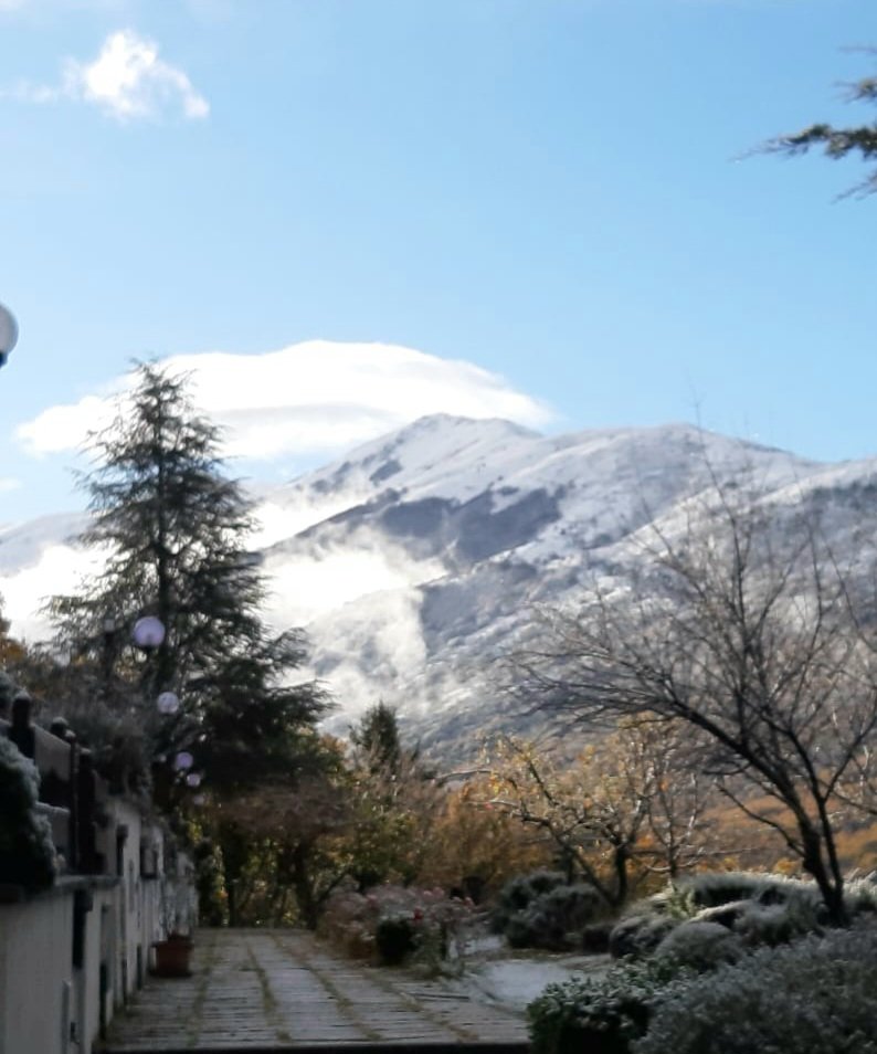 Maria Lea tweet media