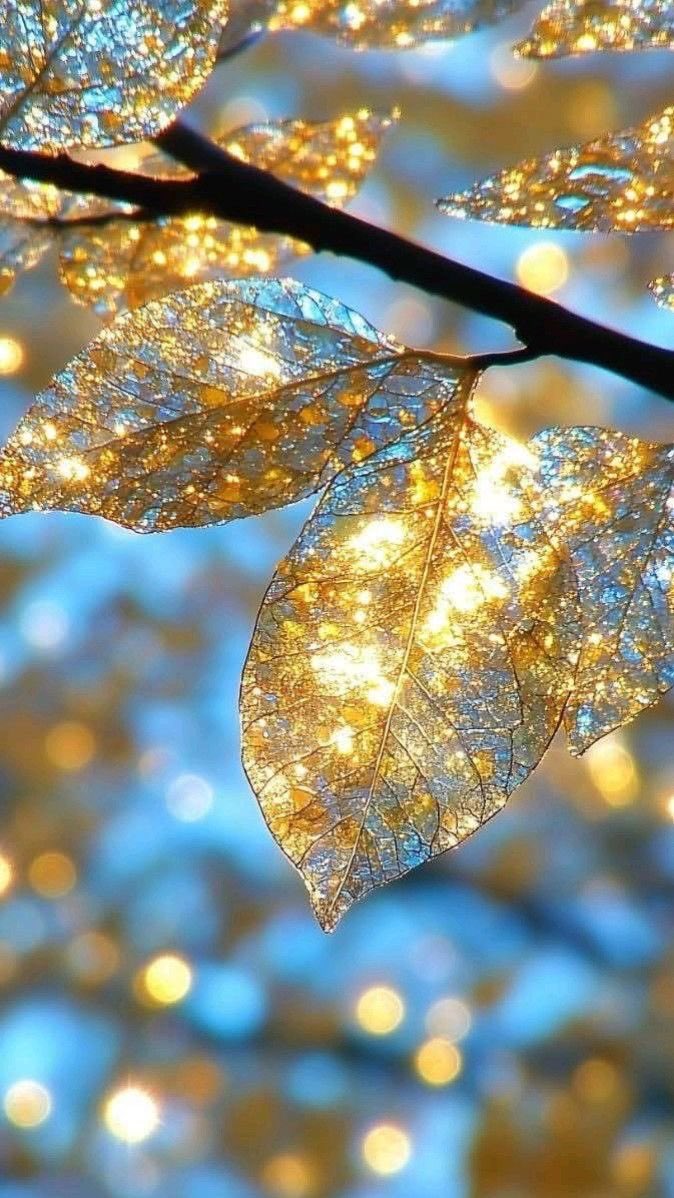 Have a wonderful week!! 💛