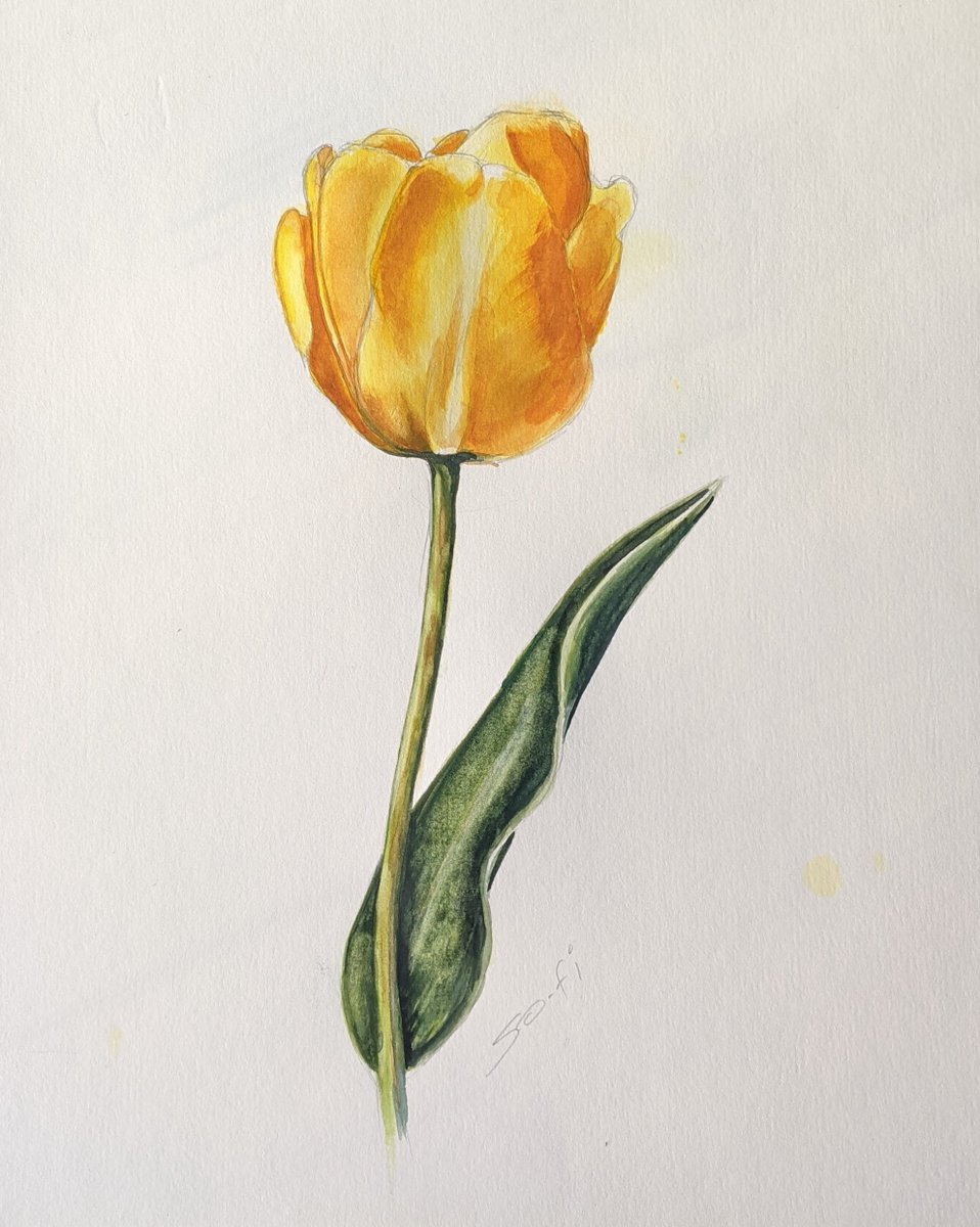 Sofiimagines's tweet image. My gardens may be napping, but my art supplies are wide awake! I’ll still post my flower photography, but get ready for more of my artwork to bloom on your feed.  #VisualArtist #TraditionArt #YellowSunday #tulips