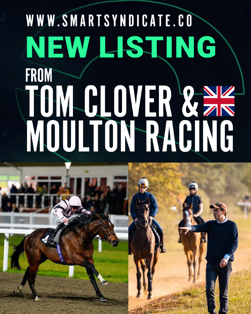 Smart Syndicate tweet media